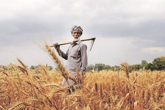 9.5 lakh farmers and their family members to be brought under Ayushman Bharat Sarbat Sehat Bima Yojana health insurance scheme in Punjab 9.5 lakh farmers and their family members to be brought under Ayushman Bharat Sarbat Sehat Bima Yojana health insurance scheme in Punjab