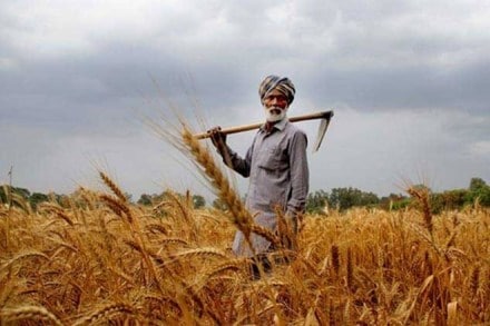 Agriculture Infrastructure Fund: Another major step in the right direction to get agri-markets right