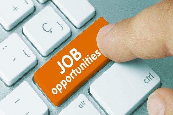 Delhi government to launch job portal, employers and job seekers both can register themselves, aam aadmi party