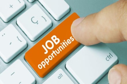 Delhi government to launch job portal, employers and job seekers both can register themselves, aam aadmi party