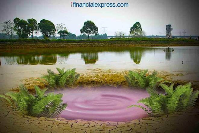 Lonar lake pink, why is Lonar lake pink in colour, Haloarchaea microbes, what is Haloarchaea microbes, Pune,Buldhana district, Maharashtra, latest news on lonar lake pink, lonar lake