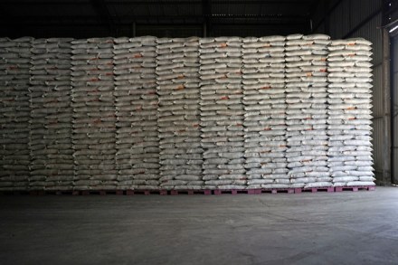 rice, free food grain, pradhan mantri garib kalyan anna yojana, free ration scheme rice, free food grain, pradhan mantri garib kalyan anna yojana, free ration scheme