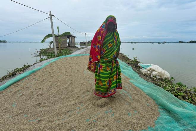 Rice exports, rice exporters, coronavirus cases, thailand, vietnam, Kakinada port, basmati rice, world biggest rice exporters, coronavirus pandemic Rice exports, rice exporters, coronavirus cases, thailand, vietnam, Kakinada port, basmati rice, world biggest rice exporters, coronavirus pandemic