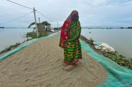 Rice exports, rice exporters, coronavirus cases, thailand, vietnam, Kakinada port, basmati rice, world biggest rice exporters, coronavirus pandemic