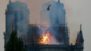 Amazingly, the 8,000-pipe organ survived the April 2019 fire that consumed the cathedral's roof and toppled its spire.