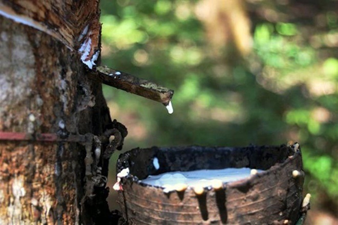 The import duty on raw materials in India is higher than competitors in the rubber products segment.
