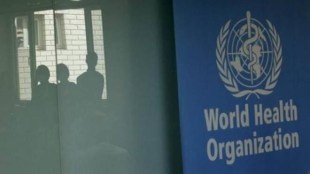 The WHO officials said an advance investigation team was not yet back from China, where the virus originated.