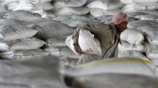 cement stocks, ACC, Ambuja Cements