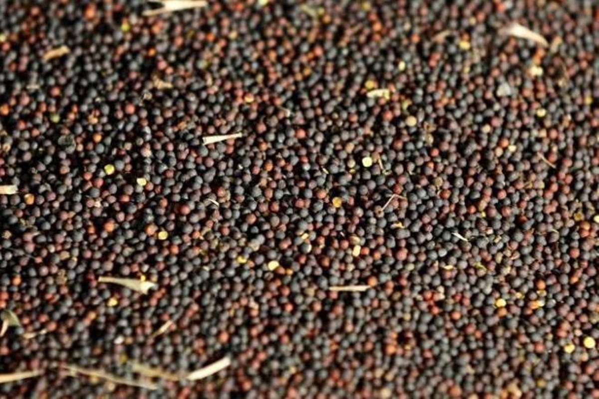 Govt sets foodgrain output target at record 301 mn tonnes for 2020-21 ...