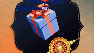raksha bandhan, financial protection, insurance, life insurance, health insurance, term insurance plan, human life value, Pradhan Mantri Jeevan Jyoti Bima Yojana, Pradhan Mantri Suraksha Bima Yojana, Ayushman Card, Jan Arogya Yojana, SIP