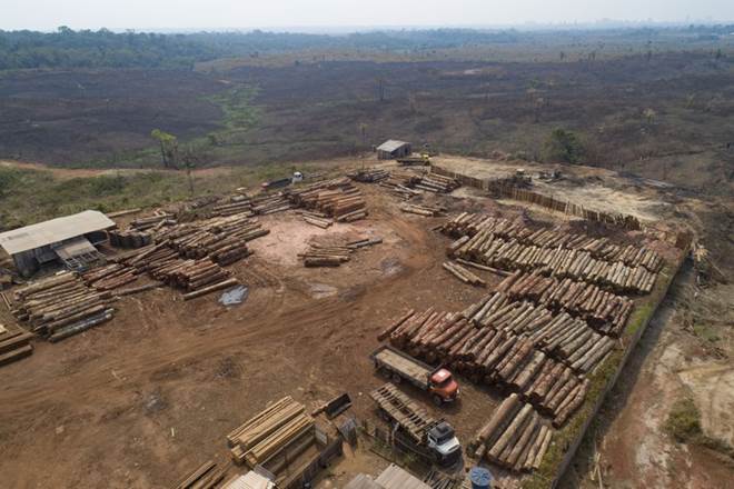 Deforestation, Deforestation in amazon, Jair Bolsonaro, brazilo amazon forest, Brazilian Amazon, Amazon deforestation, amazon rainforest, latest news on  deforestation Deforestation, Deforestation in amazon, Jair Bolsonaro, brazilo amazon forest, Brazilian Amazon, Amazon deforestation, amazon rainforest, latest news on  deforestation