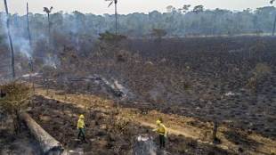 Amazon rainforest, Brazilian Amazon dry season, Novo Progresso, Jair Bolsonaro, amazon fire, latest news on amzon rainforest