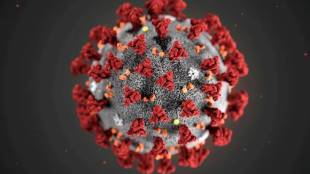The findings have not yet been published or reviewed by other scientists.