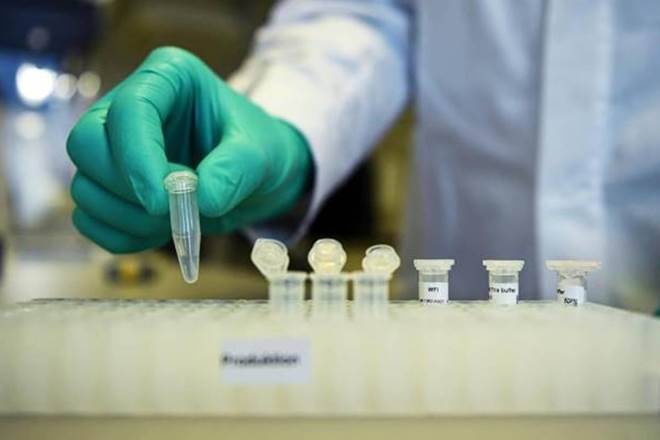 Three vaccine candidates are in different stages of human clinical trials in India. 