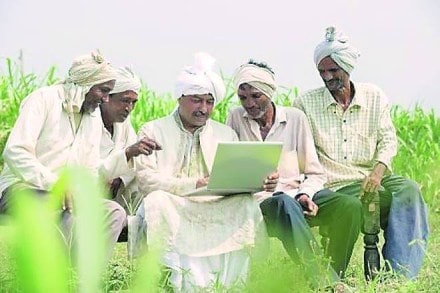 e-NAM portal online mandis, coronavirus crisis, agricultural commodities, e trade, e mandi. rural jobs, employment, unemployment