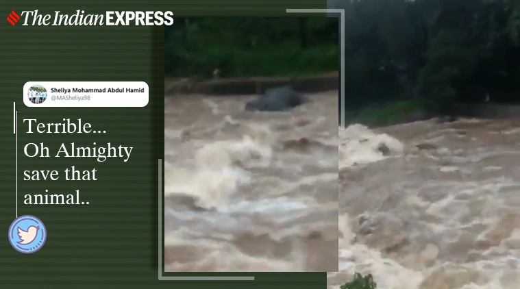 As per the last census conducted in 2017, India is home to 30,000 elephants. As per the last census conducted in 2017, India is home to 30,000 elephants.