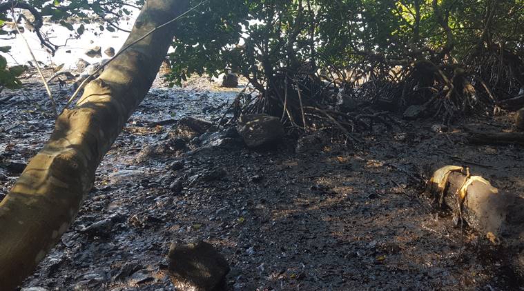Cleantech startup, Log 9, oil sorbent pads, Sorbene pads, mauritius oil spill, Log 9 Spill Containment Pvt Ltd, MV Wakashio vessel,  Indian Oil Corporation, latest news on mauritius oil spill
