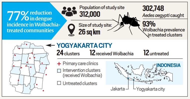 mosquitoes, mosquitoes spread, COVID-19, World Health Organisation, covid 10 pandemic,malaria spread, latest news on malaria mosquitoes, mosquitoes spread, COVID-19, World Health Organisation, covid 10 pandemic,malaria spread, latest news on malaria
