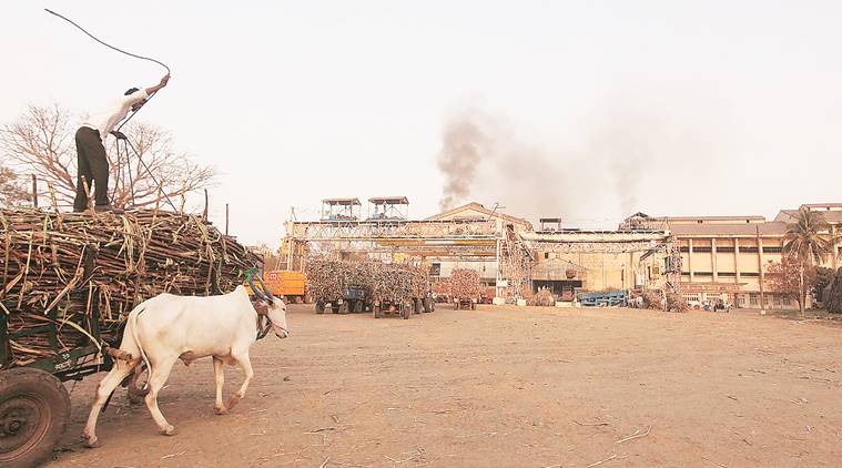 NITI panel, buffer stock subsidy scheme for sugar, sugar buffer stock, buffer stock scheme, NITI Aayog NITI panel, buffer stock subsidy scheme for sugar, sugar buffer stock, buffer stock scheme, NITI Aayog