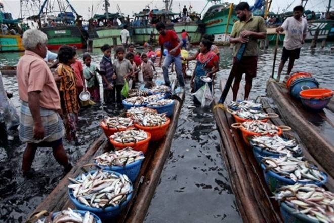 While official data of exports of marine products so far in the current fiscal are not immediately available, the decline during the period is seen to have been sharper than anticipated for the full year.