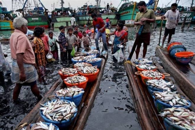 While official data of exports of marine products so far in the current fiscal are not immediately available, the decline during the period is seen to have been sharper than anticipated for the full year. While official data of exports of marine products so far in the current fiscal are not immediately available, the decline during the period is seen to have been sharper than anticipated for the full year.