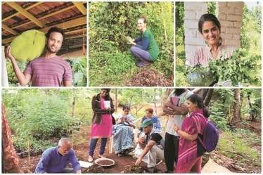 A self-sufficient and sustainable practice of farming where nature does most of the work, permaculture requires minimal human effort.