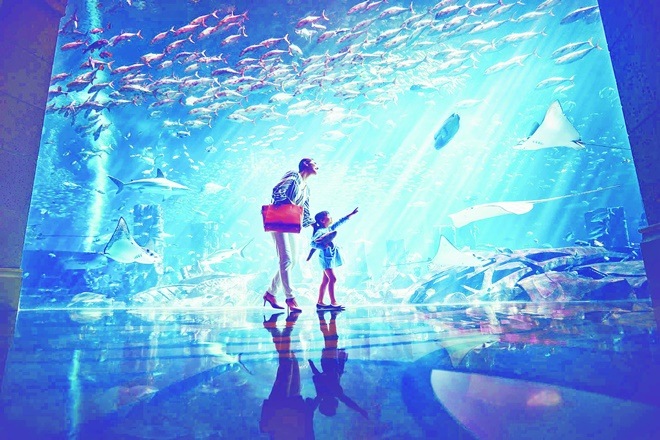 Community initiatives for island cleanup and waste disposal like in the case of Seaside Finolhu resort in Maldives educate the local community as well.