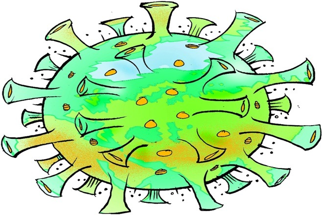 Mortality growth has declined successively over six-week intervals, as elsewhere, and this trend can perhaps be expected to continue.