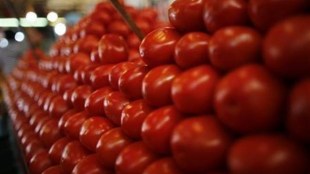 At Azadpur mandi, Asia's largest fruits and vegetable wholesale market, tomato prices were ruling at Rs 40-60 per kg, according to trade data.