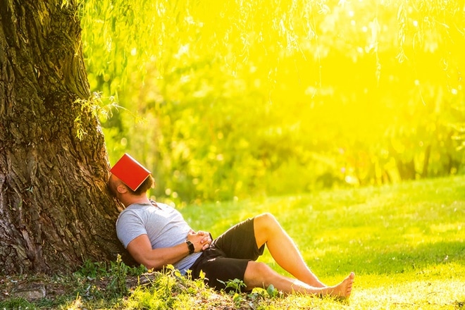 Holiday plans, restaurant visits, electronic purchases, hashtags and trends followed.