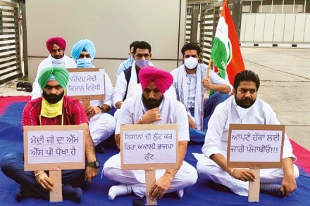 Punjab Youth Congress leader Brinder S Dhillon during protest against ordinances on farming, outside Mandi Bhawan in Mohali (Express photo: Jasbir Malhi) Punjab Youth Congress leader Brinder S Dhillon during protest against ordinances on farming, outside Mandi Bhawan in Mohali (Express photo: Jasbir Malhi)