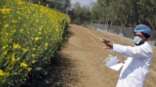 He did not act on the GEAC’s 2017 recommendation to allow the cultivation of GM mustard despite the GEAC reiterating its decision and the National Academy of Agricultural Sciences passing a resolution in support and writing to the Prime Minister.