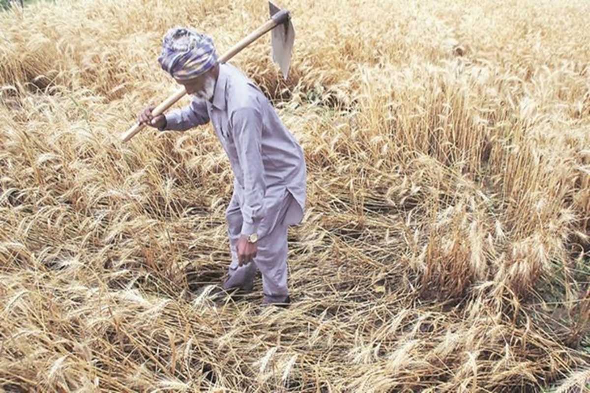 With nearly Rs 5,000 crore at stake every year, apart from an assured market for its farmers, not surprisingly, Punjab is at the forefront of the agitation. With nearly Rs 5,000 crore at stake every year, apart from an assured market for its farmers, not surprisingly, Punjab is at the forefront of the agitation.