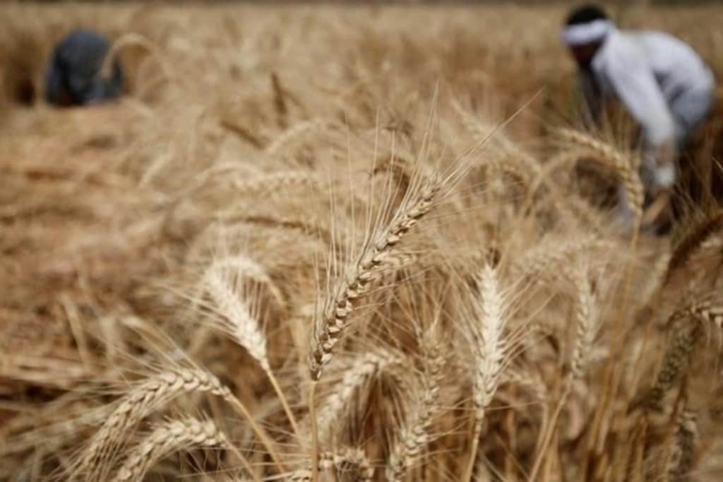 The problems of imperfections plaguing agricultural markets were being discussed since the mid-1960s and it was found that there is an urgent need for the reforms, he said.