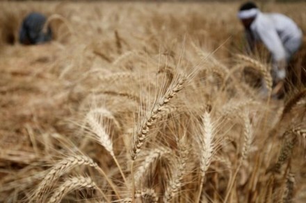 The problems of imperfections plaguing agricultural markets were being discussed since the mid-1960s and it was found that there is an urgent need for the reforms, he said.