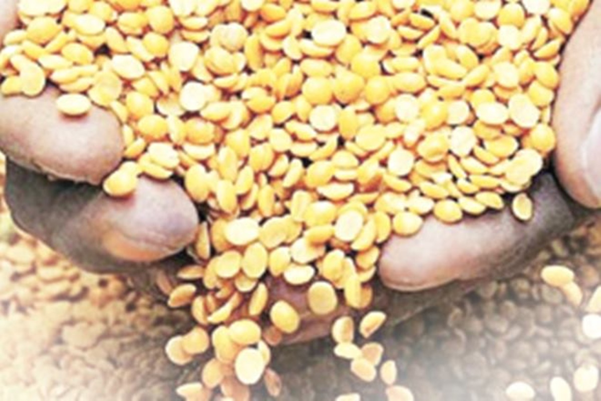 There was a 42% increase in production of pulses, unheard of in any other category of food articles.