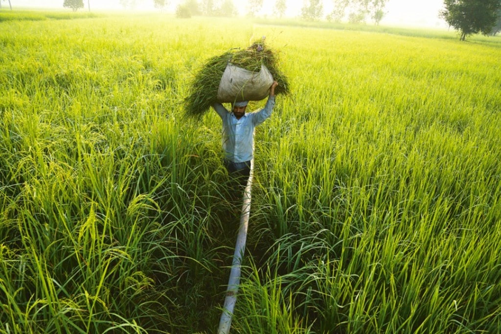 atma nirbhar bharat, economic relief, economic revival, partial guarantee atma nirbhar bharat, economic relief, economic revival, partial guarantee