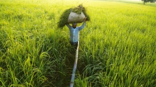 atma nirbhar bharat, economic relief, economic revival, partial guarantee