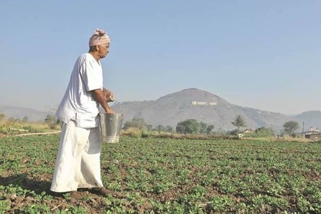 A bumper kharif harvest, recovery in global food prices may bring cheers to farmers A bumper kharif harvest, recovery in global food prices may bring cheers to farmers