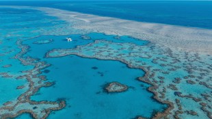 Apart from this, with 360-degree videos, travellers can traverse through a plethora of stunning landscapes and experiences.