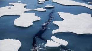 Arctic Ocean ice, ice in artic ocean, global warming, Alaska, Canada, Greenland, russia, Arctic climate, north pole, latest news on  artic ocean ice