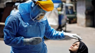 A total of 31,902 patients have recovered.