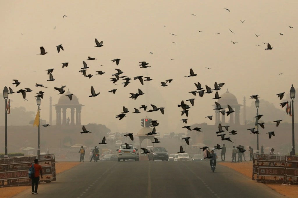 Delhi air quality