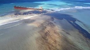 More than 1,000 tons of oil spilled into the coastal waters.