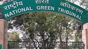 A bench headed by NGT Chairperson Justice Adarsh Kumar Goel directed the ministry to file its response before October 14.