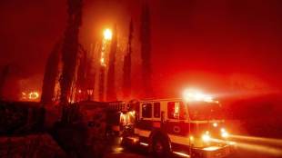 Northern California wildfire, Northern California wildfire news, Oakmont Gardens, Sonoma County, latest news on Northern California wildfire