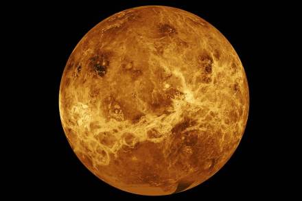 Data from NASA's Magellan spacecraft and Pioneer Venus Orbiter is used in an undated composite image of the planet Venus. (Courtesy: NASA/ JPL/ Caltech/ Reuters) Data from NASA's Magellan spacecraft and Pioneer Venus Orbiter is used in an undated composite image of the planet Venus. (Courtesy: NASA/ JPL/ Caltech/ Reuters)