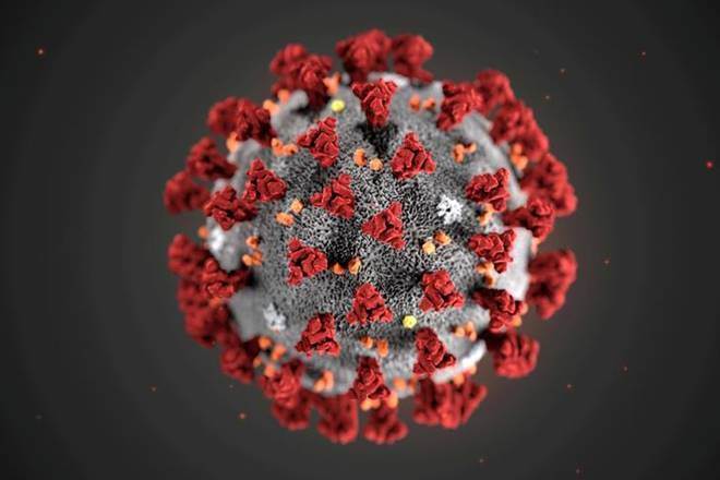 The generated high-powered microscopic images show a large number of the virus particles on human respiratory surfaces, ready to spread infection across tissues, and to other people.