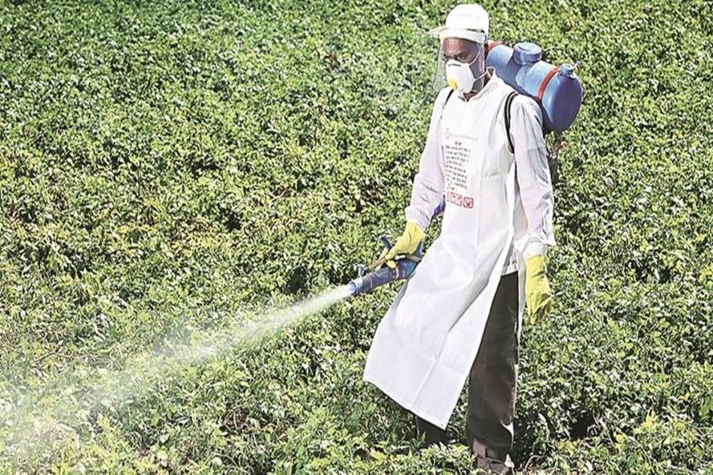 pesticide management bill 2020, pesticide manufacturers, farmers' income, agriculture export
