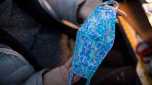 No cultural activity should be allowed in containment zones, it added.